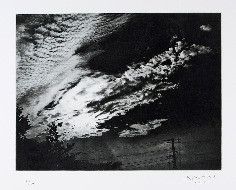 Nobuyoshi Araki - Ki Ku