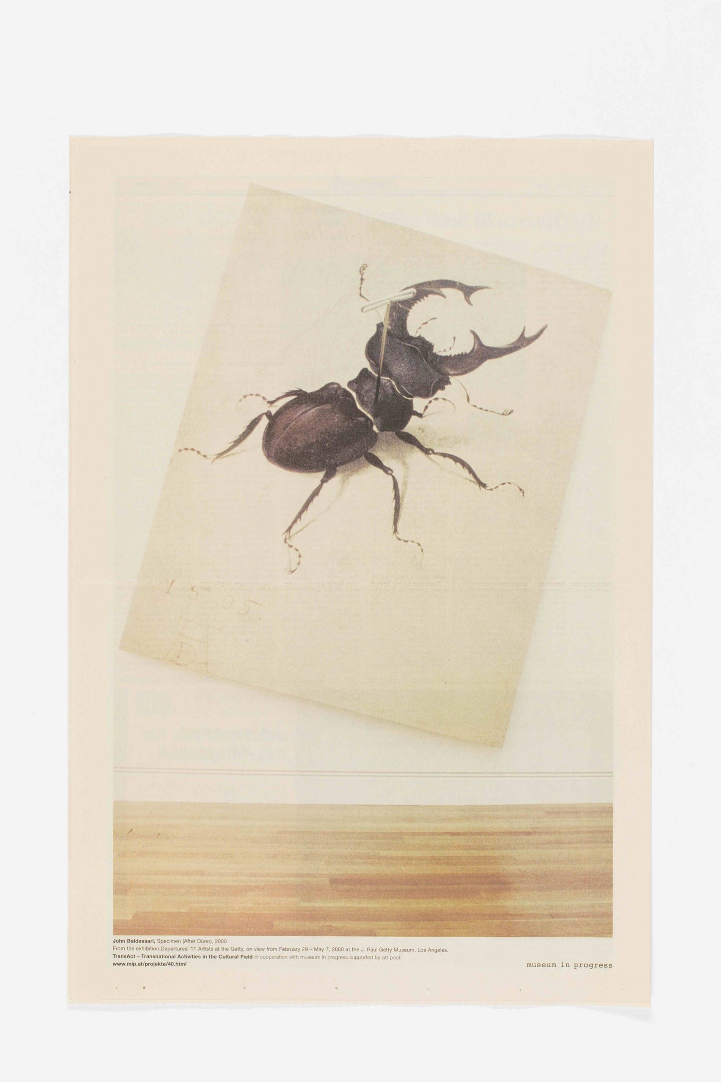 John Baldessari - Specimen (After Dürer)