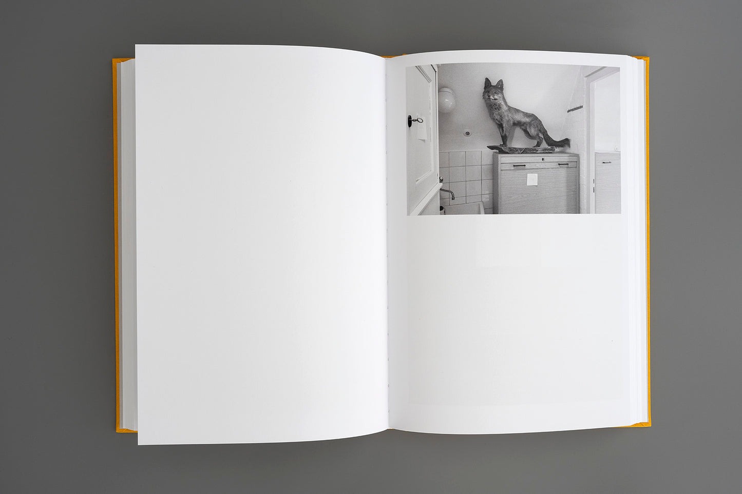 Julia Gaisbacher - Special Edition: Hanne Darboven. Am Burgberg.