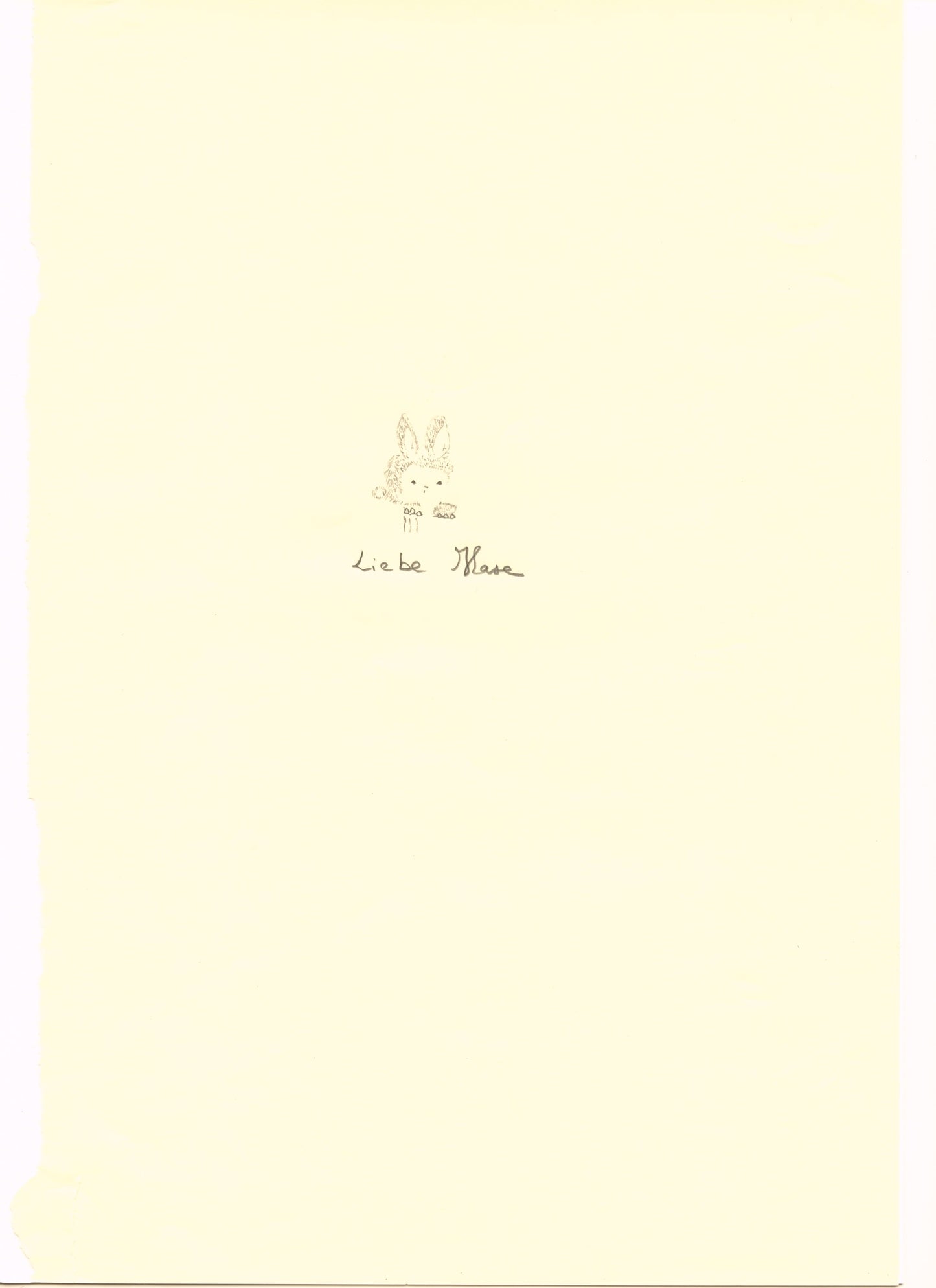 Karine Fauchard - Rabbit Club