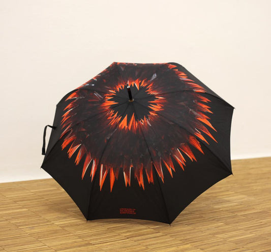 Aideen Barry limited edition umbrella 