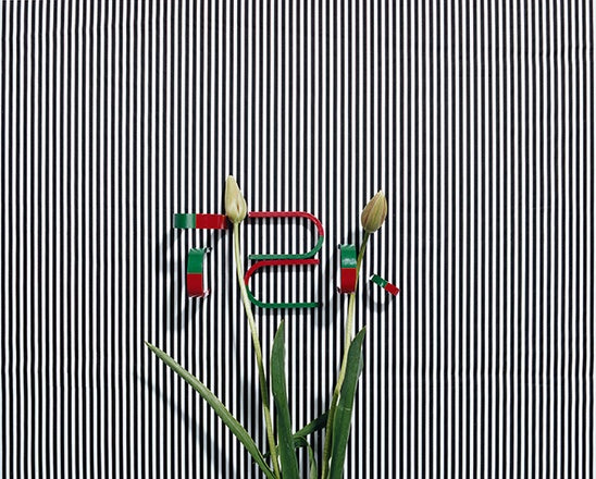 Annette Kelm - Untitled (TZK)