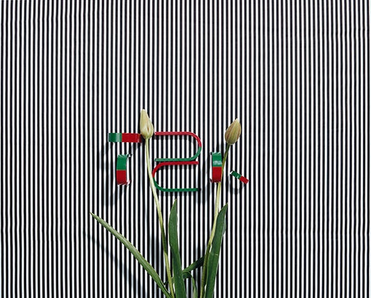Annette Kelm - Untitled (TZK)
