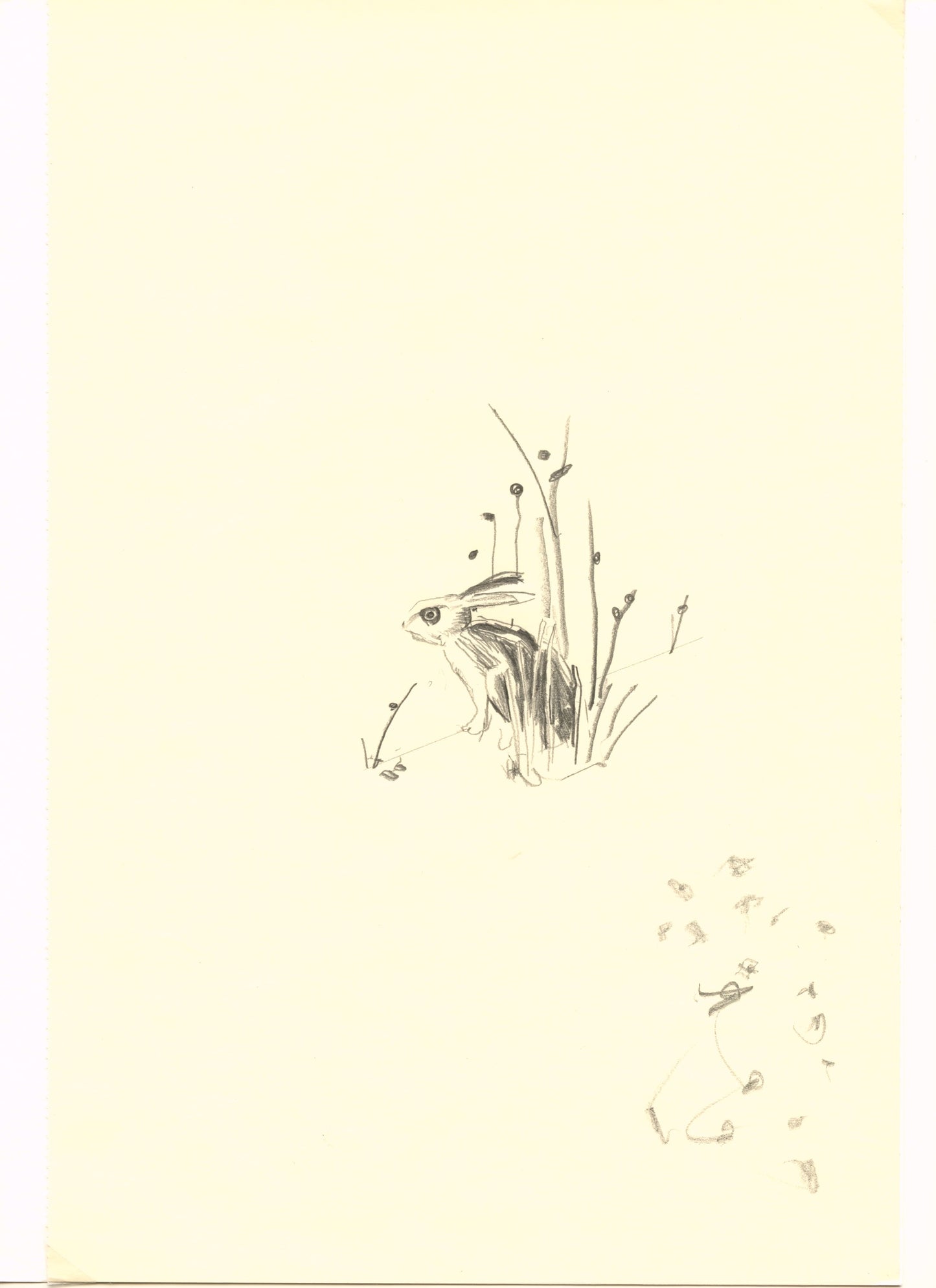 Karine Fauchard - Rabbit Club