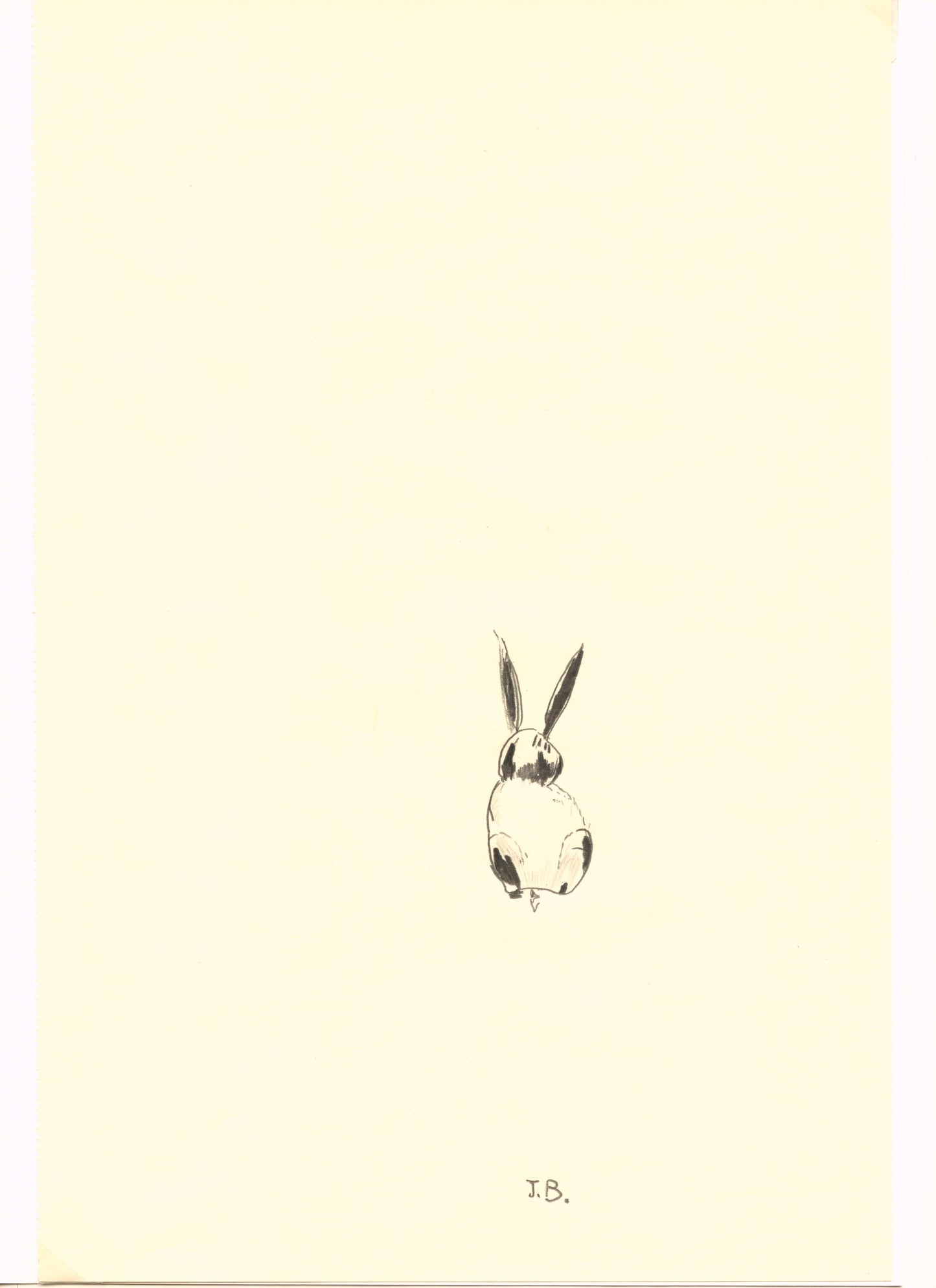 Karine Fauchard - Rabbit Club