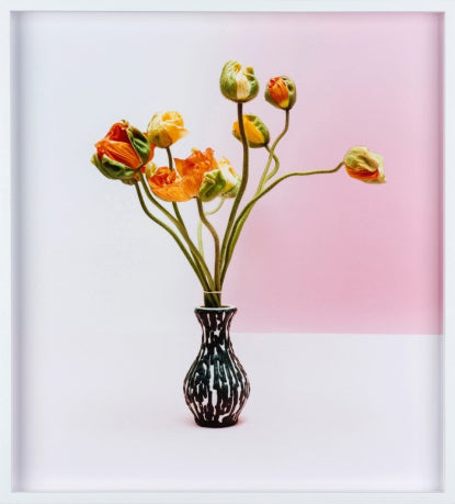 Annette Kelm - Mohn