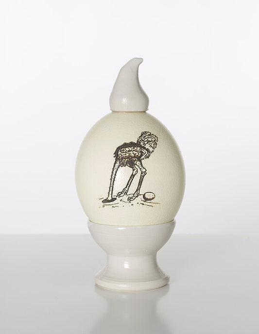 Mark Dion - A Curious Generation of Ostriches