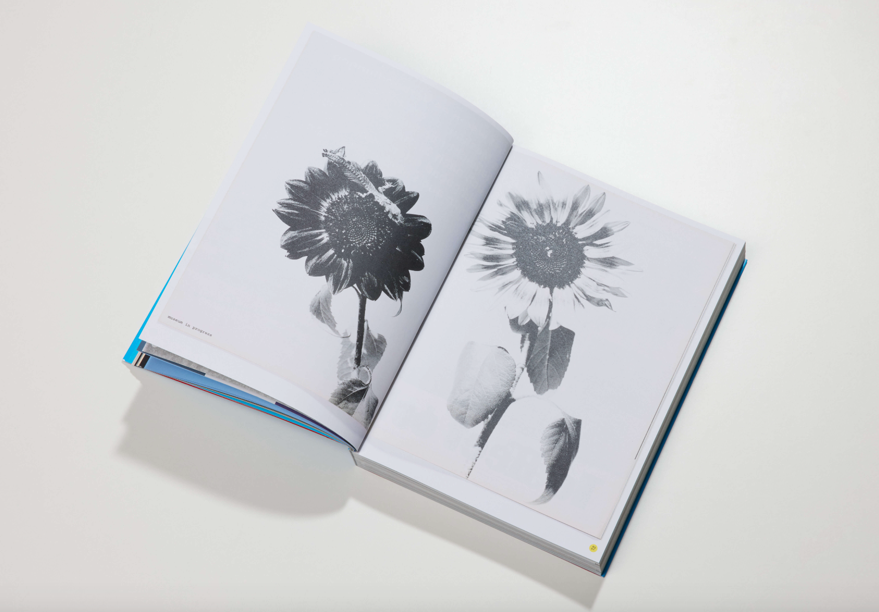 inside view of museum in progress publication